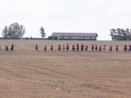 IMG_8467_web